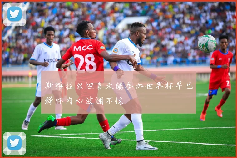 斯维拉尔坦言未能参加世界杯早已释怀内心波澜不惊